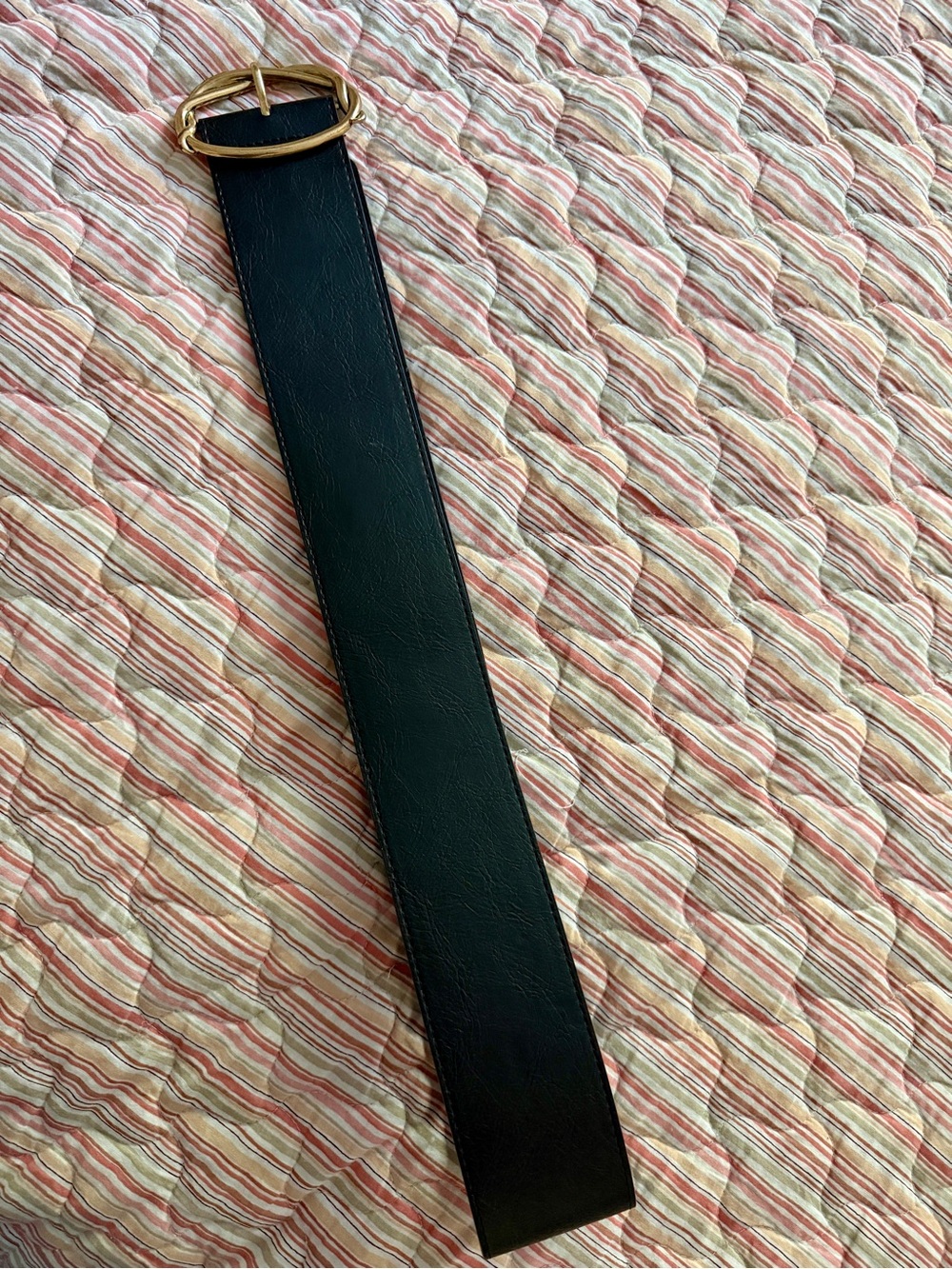 Mango Women’s Black Belt with Gold Oval Buckle